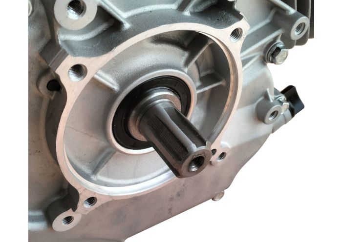 ワ12 Panda PD192F Motor benzina 9.8kW, 439cc, 1C 4T OHV, EU V, ax canelat